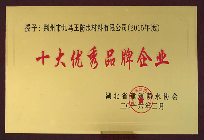 十大優秀品牌企業