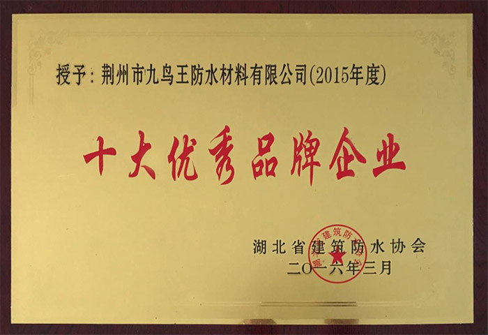 十大優秀品牌企業（2016年）